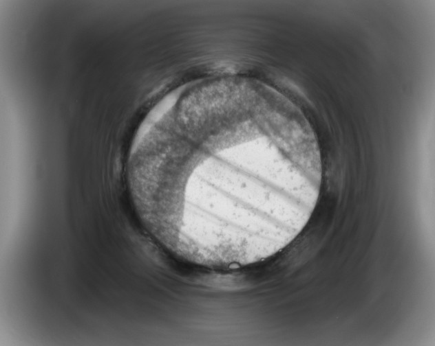 X0000083550314200703091559