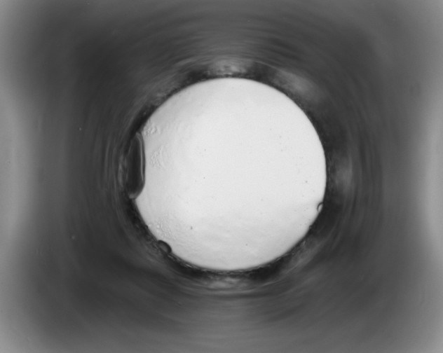 X0000083550315200703091559
