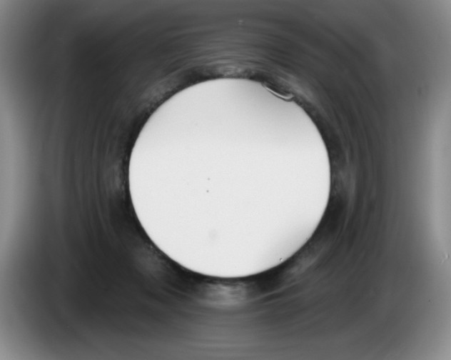 X0000083550317200703091559