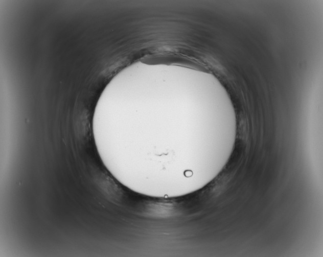 X0000083550318200703091559
