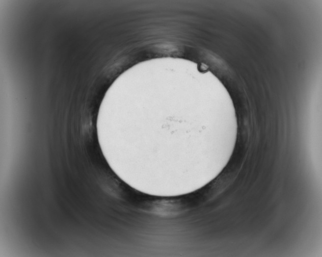 X0000083550320200703091559
