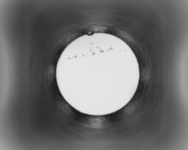 X0000083550321200703091559