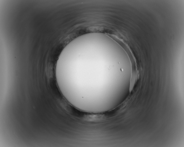 X0000083550323200703091559