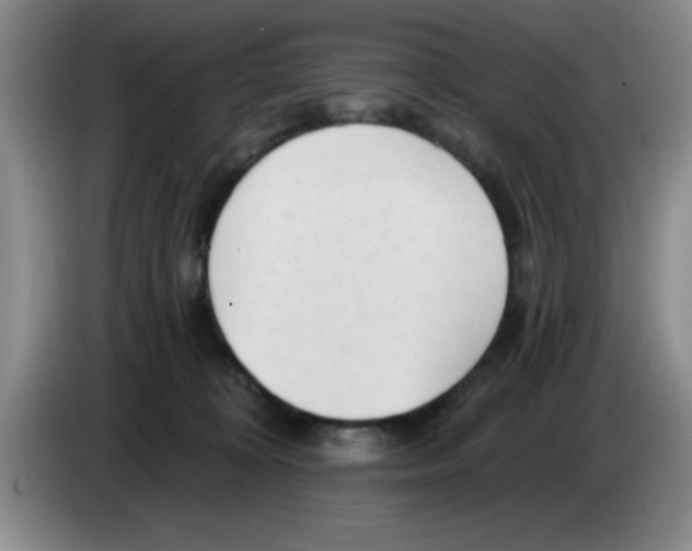 X0000083550324200703091559