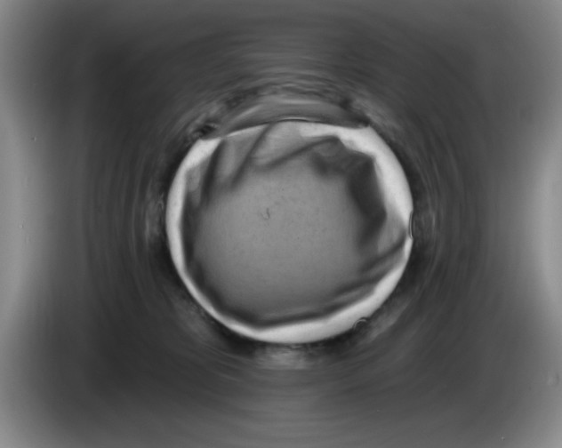 X0000083550325200703091559