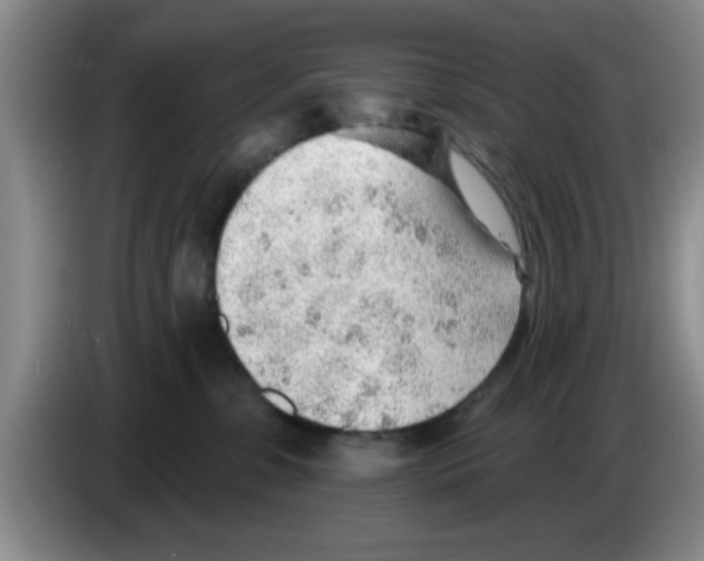 X0000083550331200703091559