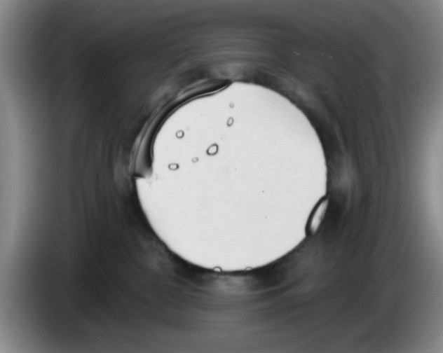 X0000083550332200703091559
