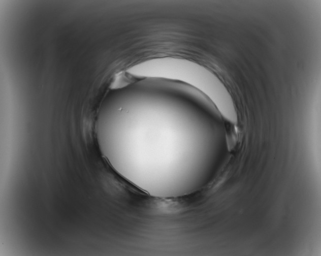 X0000083550333200703091559
