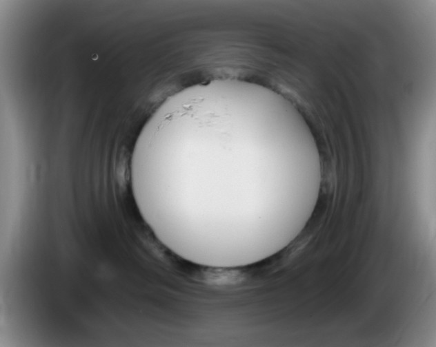 X0000083550334200703091559