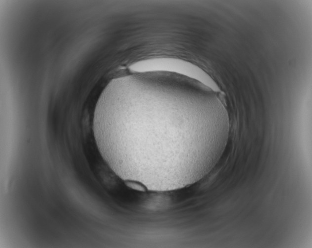 X0000083550335200703091559