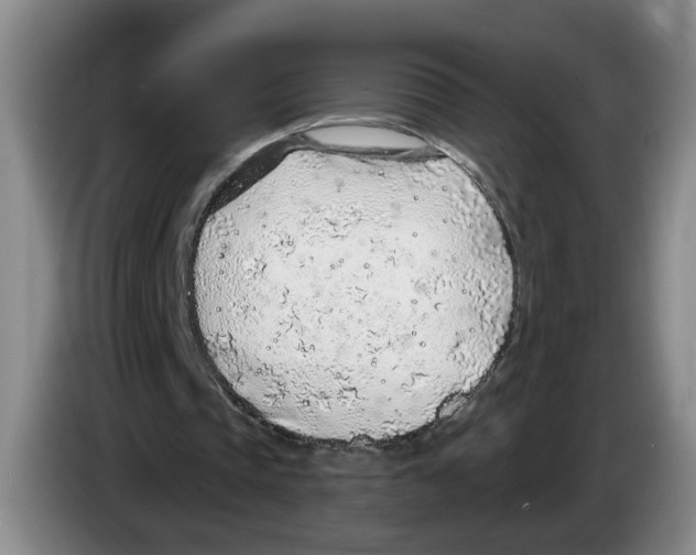 X0000083550337200703091558