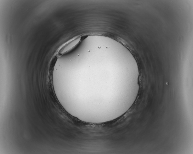 X0000083550338200703091558