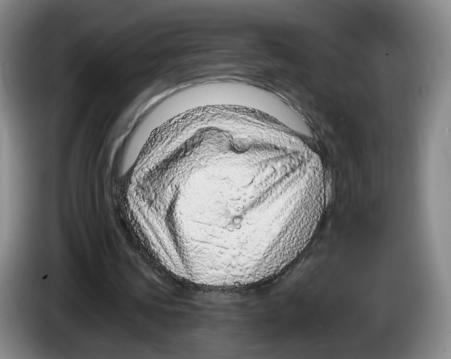 X0000083550339200703091558