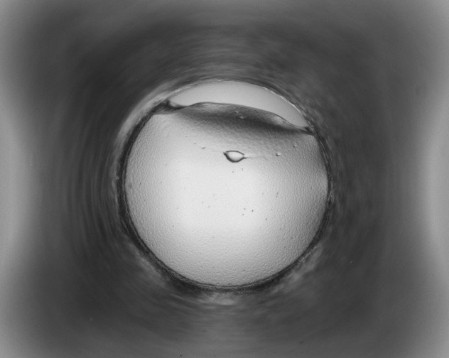 X0000083550341200703091558