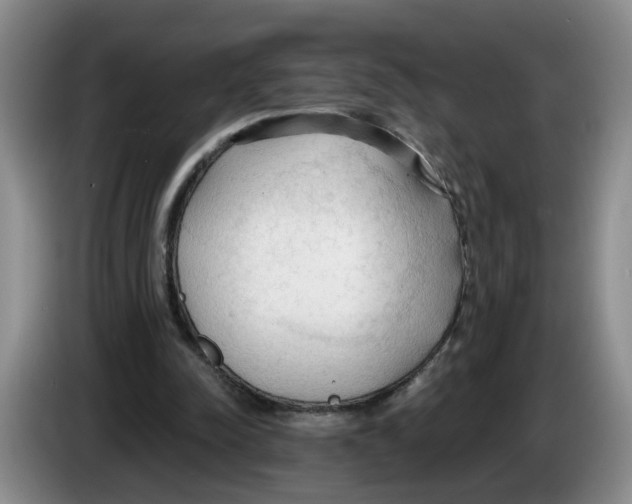 X0000083550342200703091558