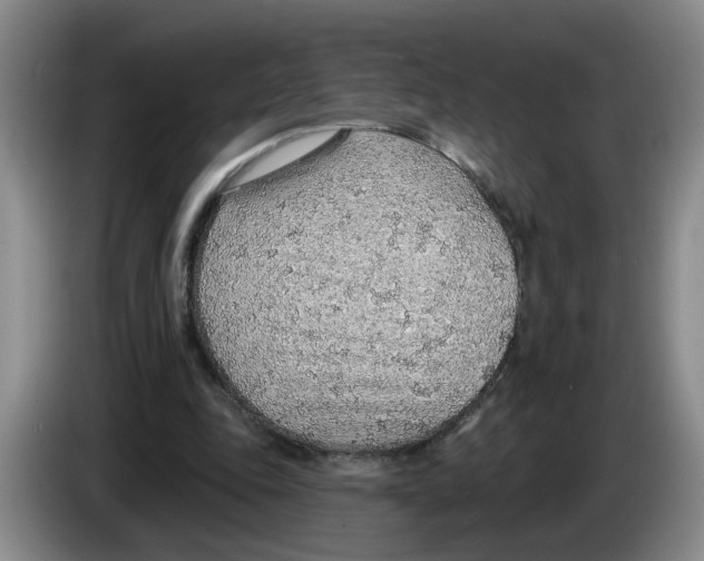 X0000083550343200703091558