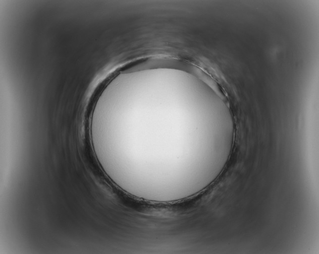 X0000083550344200703091558