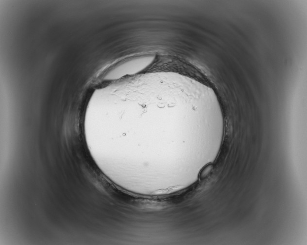 X0000083550347200703091559