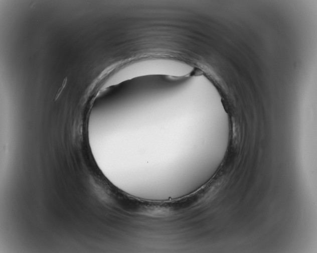 X0000083550348200703091559