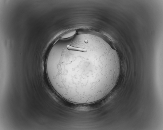 X0000083550350200703091559