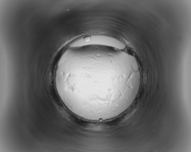 X0000083550351200703091559