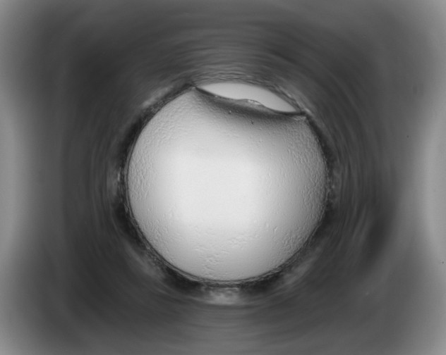 X0000083550355200703091559
