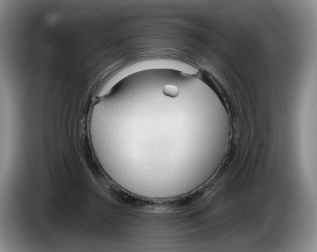 X0000083550356200703091559