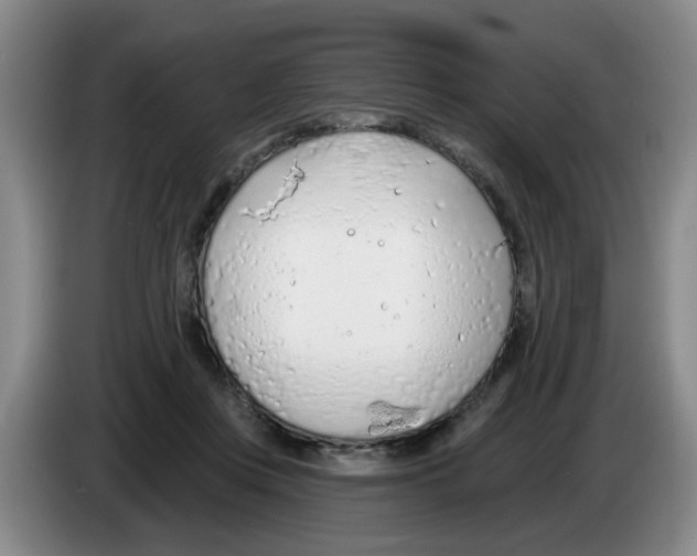 X0000083550359200703091559