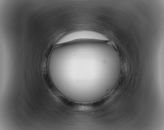 X0000083550360200703091559