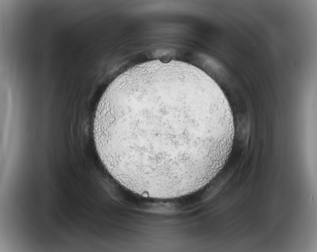 X0000083550363200703091559