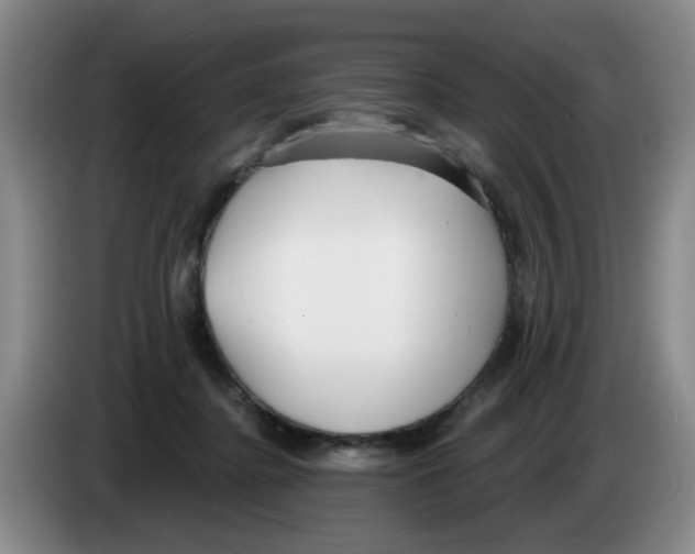 X0000083550364200703091559