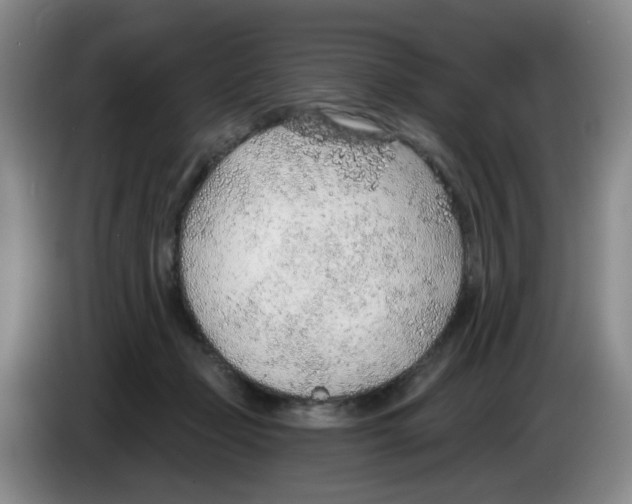 X0000083550365200703091559