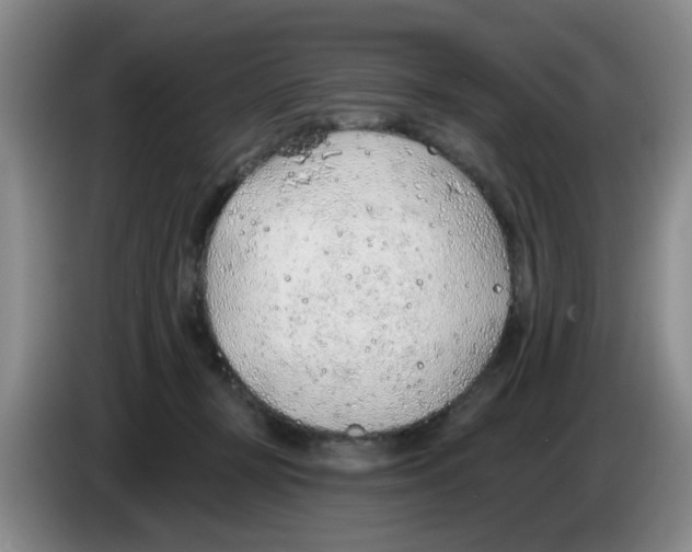 X0000083550367200703091559