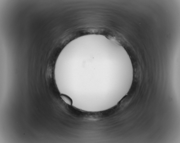 X0000083550368200703091559