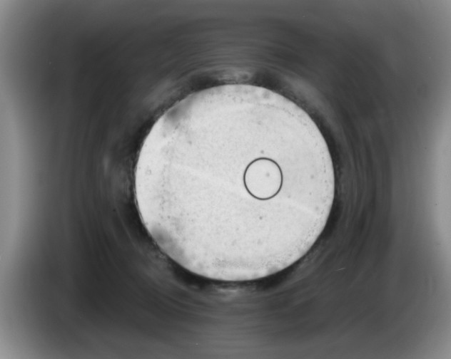 X0000083550370200703091559