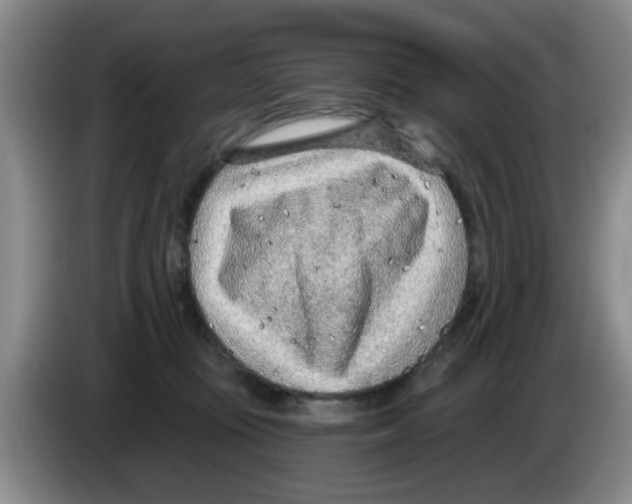 X0000083550371200703091559
