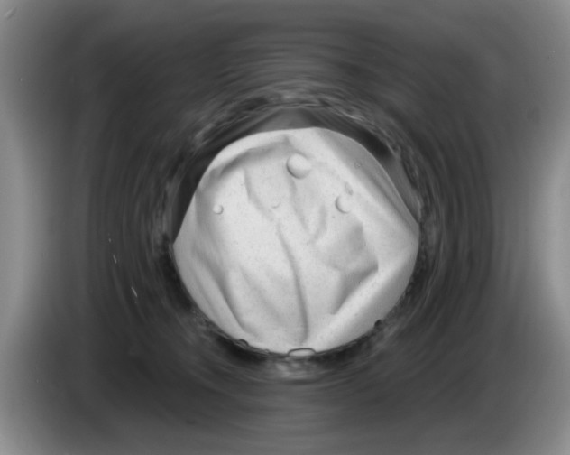 X0000083550372200703091559