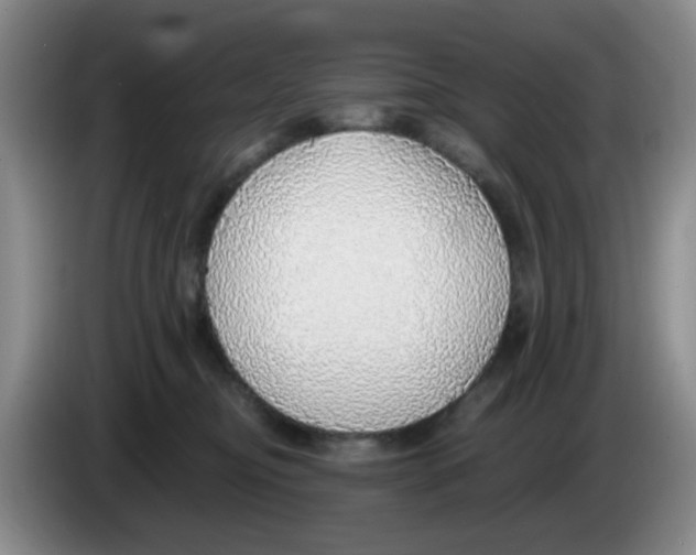 X0000083550374200703091559