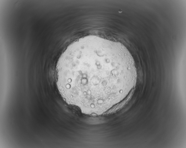 X0000083550375200703091559