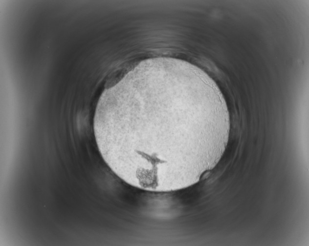 X0000083550377200703091559