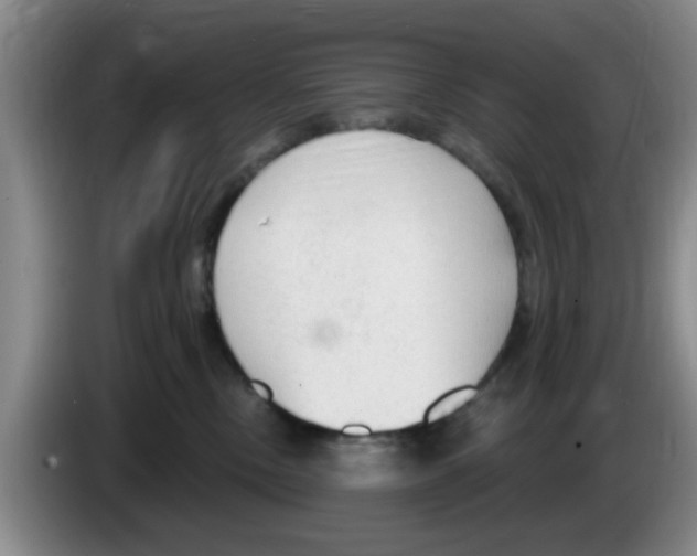 X0000083550378200703091559