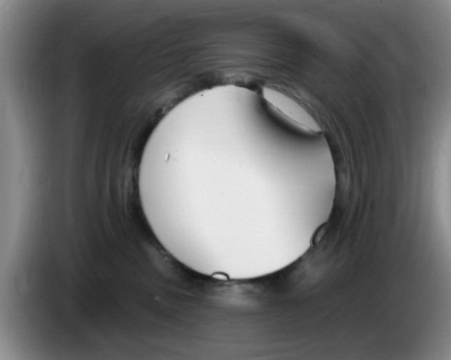 X0000083550379200703091559