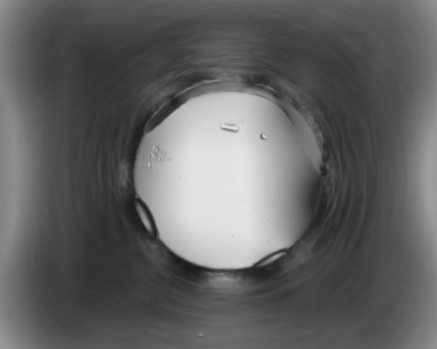 X0000083550380200703091559