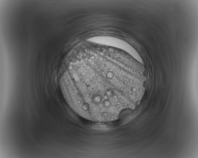 X0000083550381200703091559