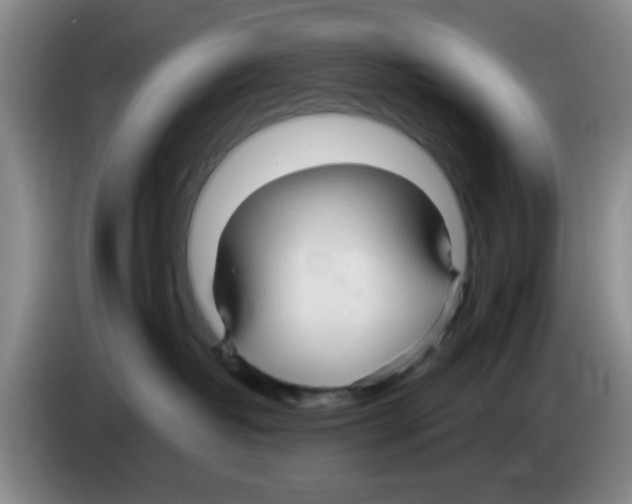 X0000083550382200703091559