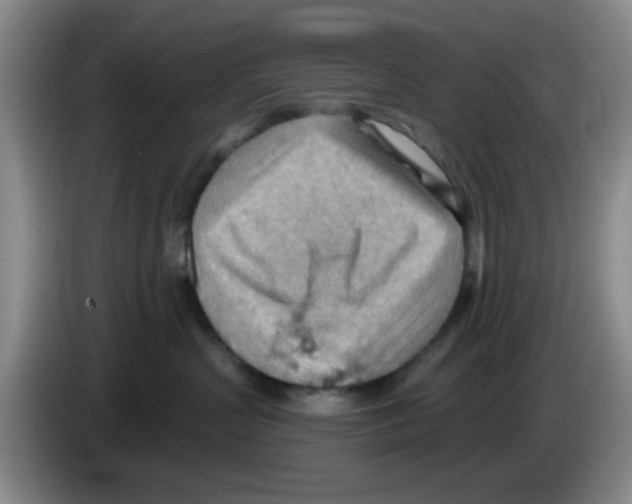 X0000083550383200703091559