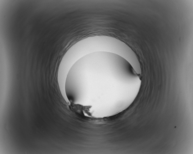 X0000083550384200703091559