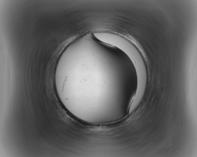 X0000083550385200703091558