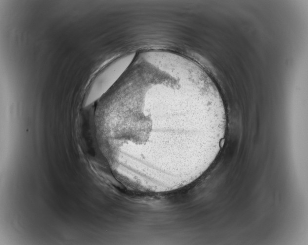 X0000083550386200703091558