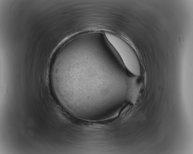 X0000083550387200703091558